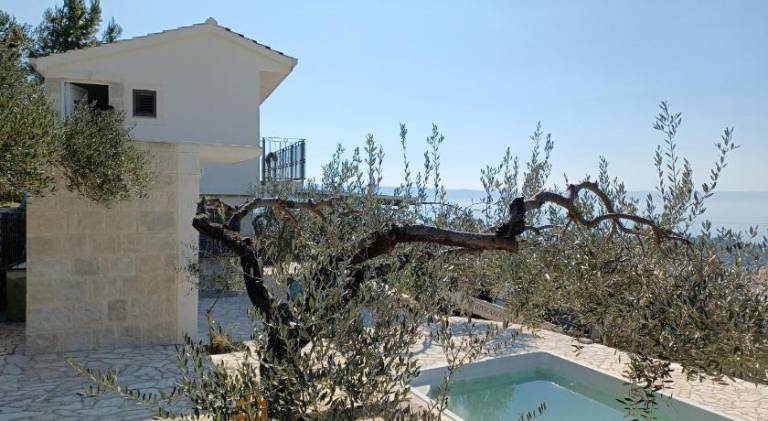 Villa with pool in Tucepi