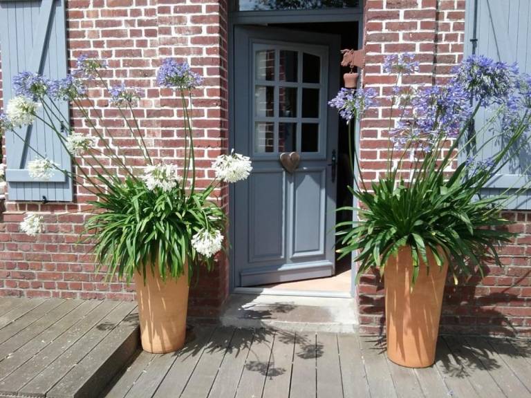 foto26