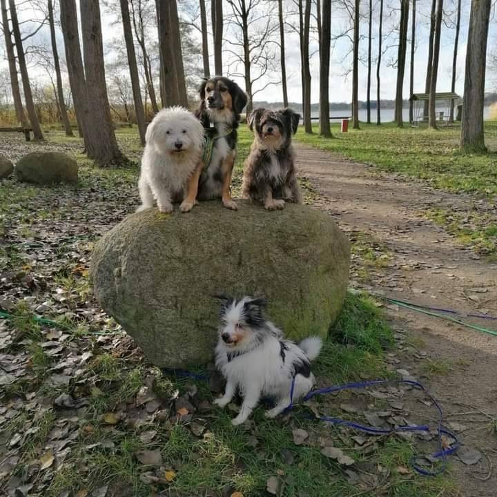 foto34