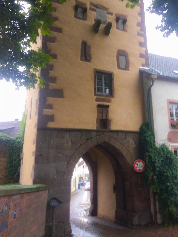 foto10