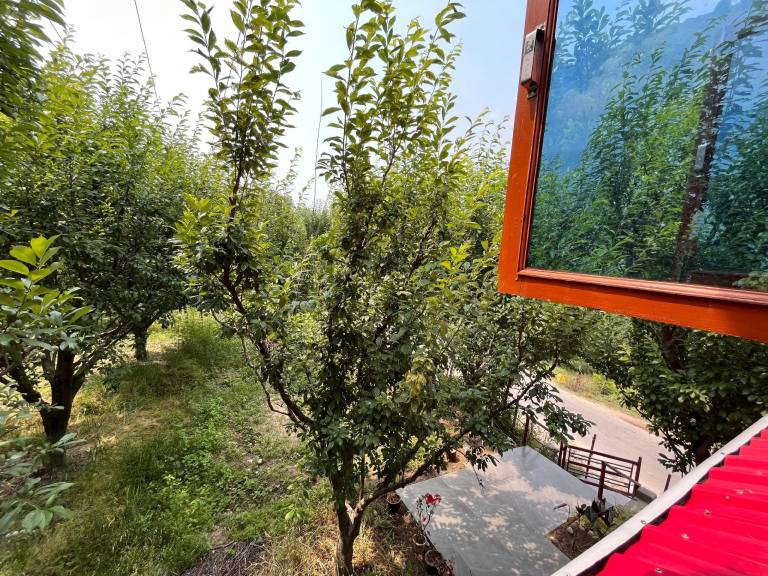 foto35