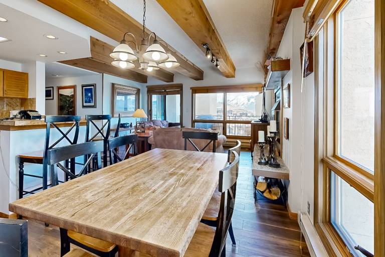 Condo Crested Butte