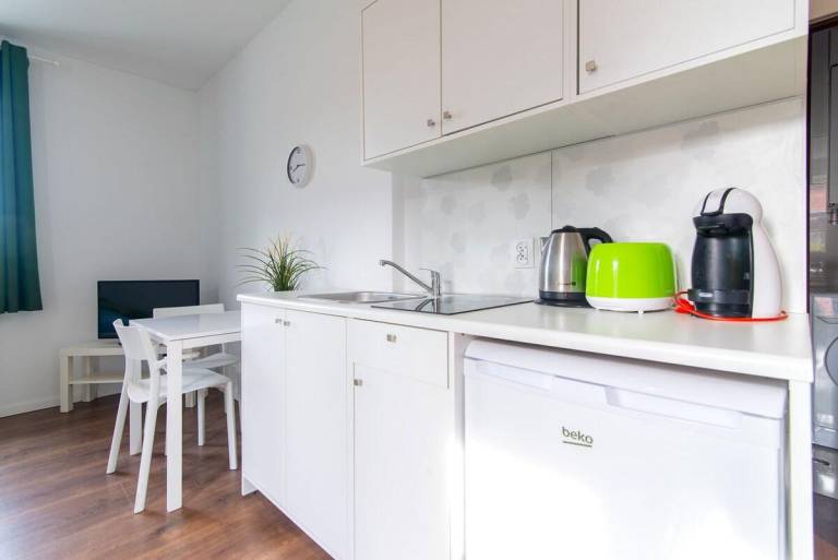 Green shiny flat in the center of old town Poznań — photo 4