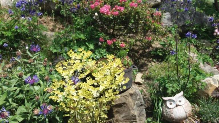 foto6