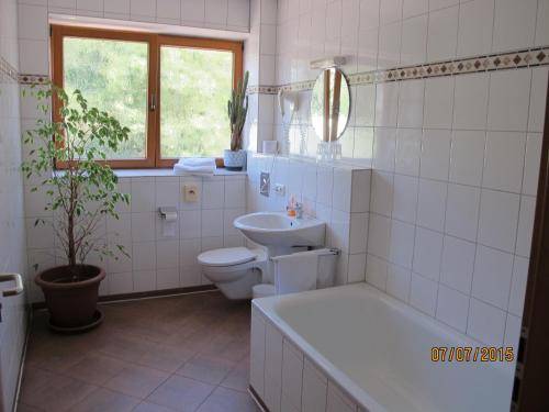 foto17