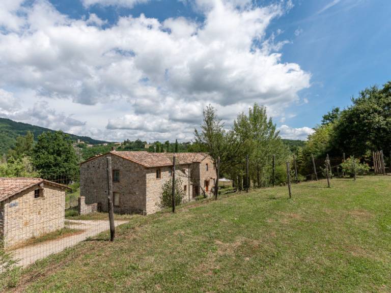 foto45