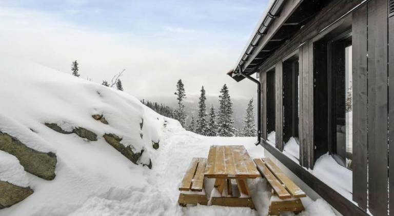 Wonderful chalet with sauna & patio | Close to the ski | Pets allowed — photo 5