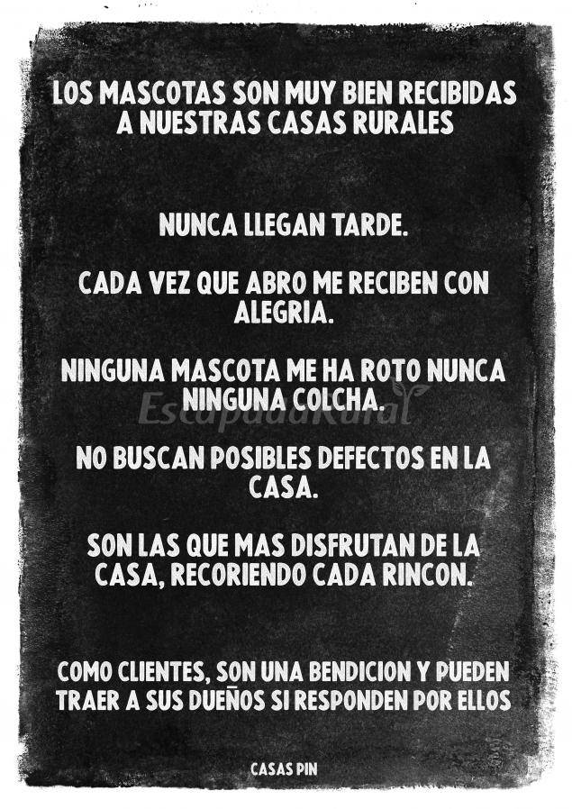 foto31