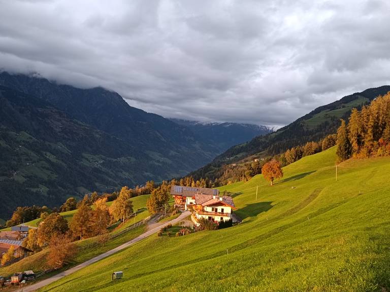foto29