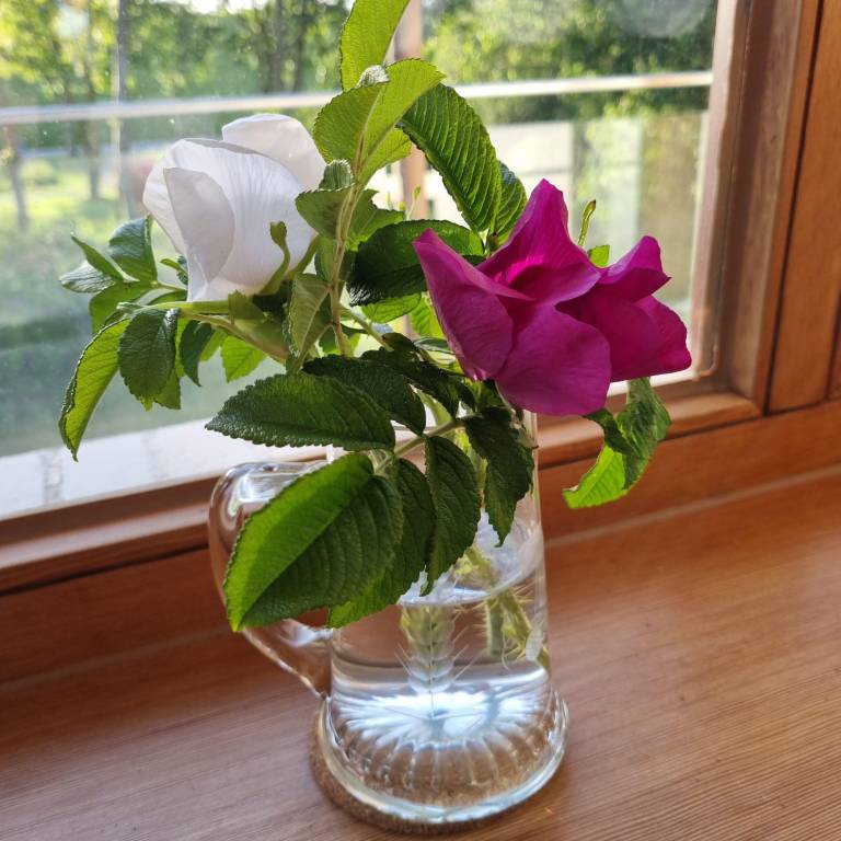 foto28