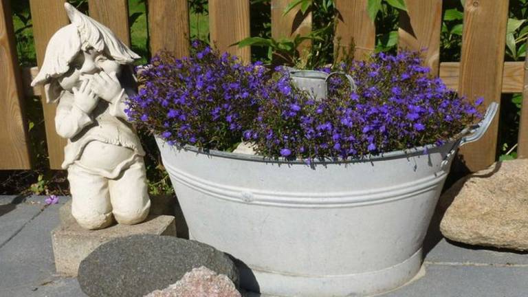 Ferienwohnung Neustadt in Holstein