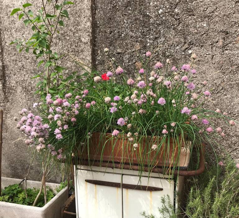 foto11