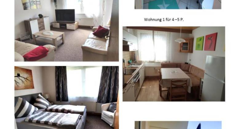 Ferienwohnung Hirschhorn (Neckar)