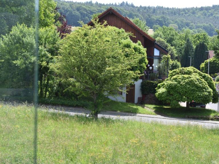 foto36