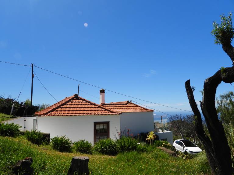 foto11