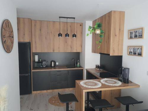 Apartment Zamosc