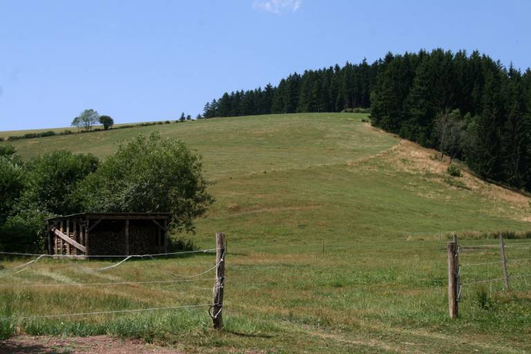 foto21