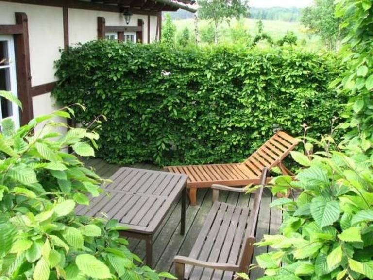House with terrace, barbecue & yard | Nature view — photo 4