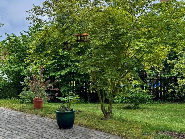 foto18