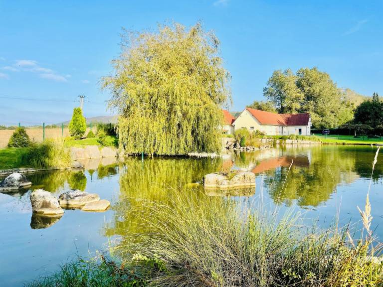 Bed & Breakfast Samer