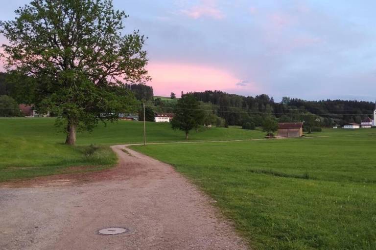 foto14