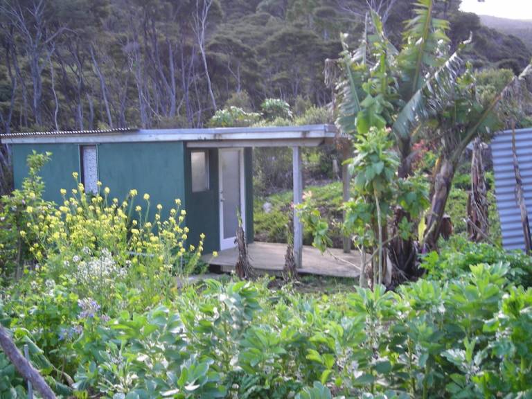 Hütte  Great Barrier Island