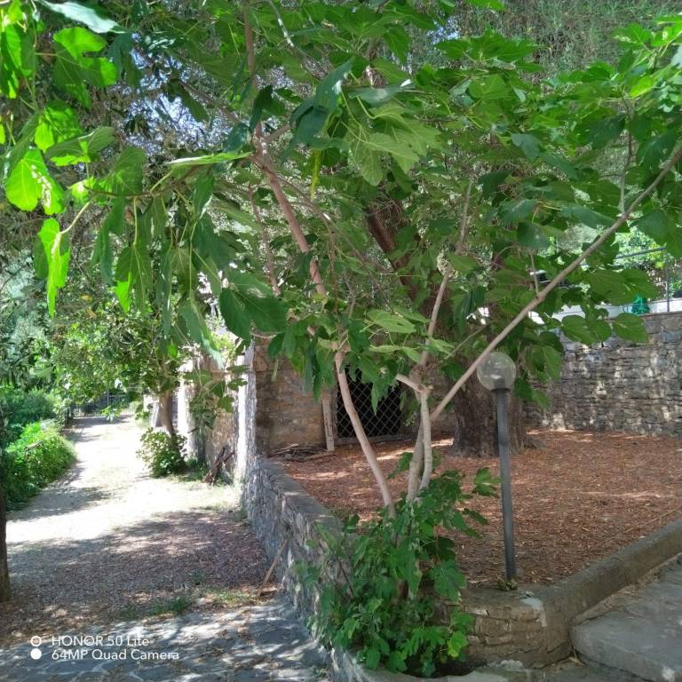 foto33