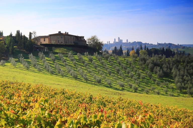 Apartment San Gimignano