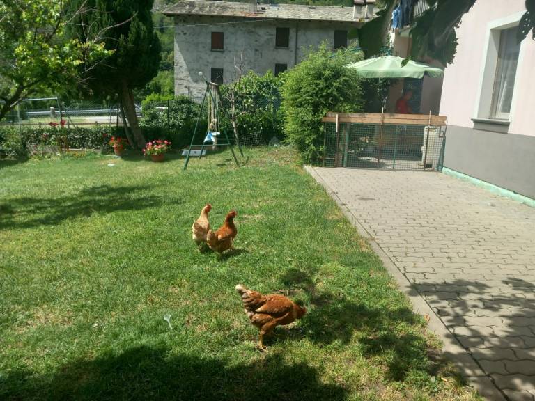 foto27