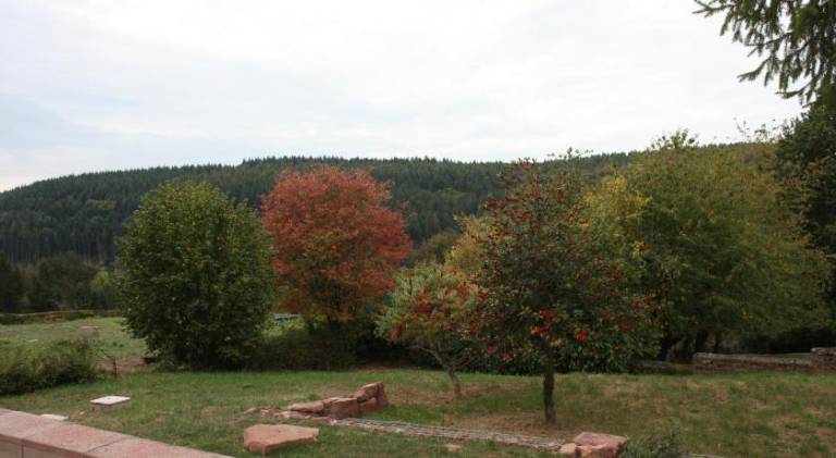 foto20