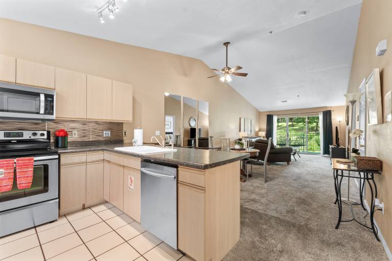 Condo with terrace | River view — photo 2