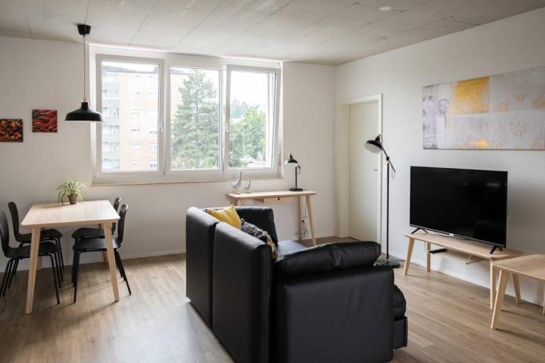 Ferienwohnung Schaffhausen