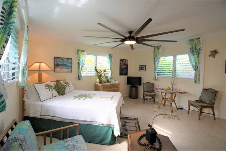 Studio flat Hawaii Kai