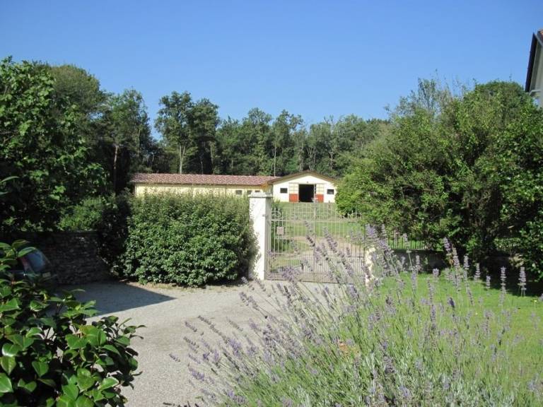 foto10