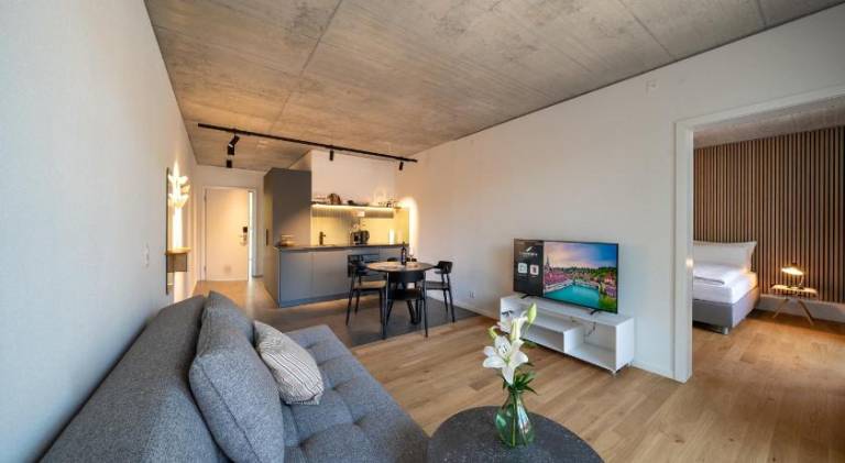 Serviced apartment with terrace in Bern