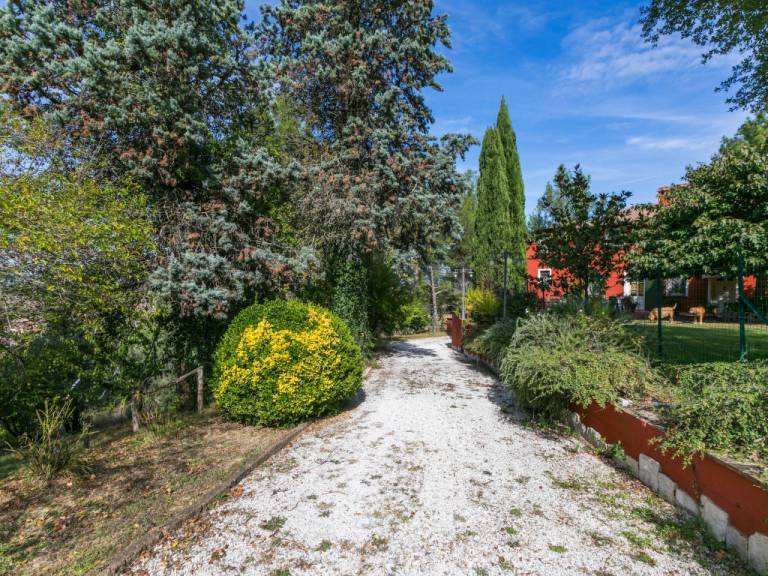 foto47