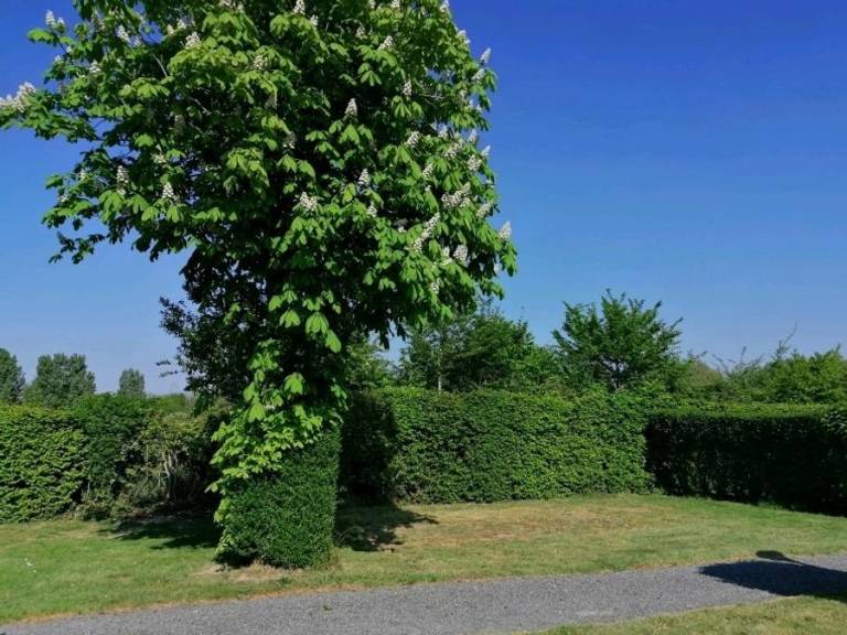 foto27
