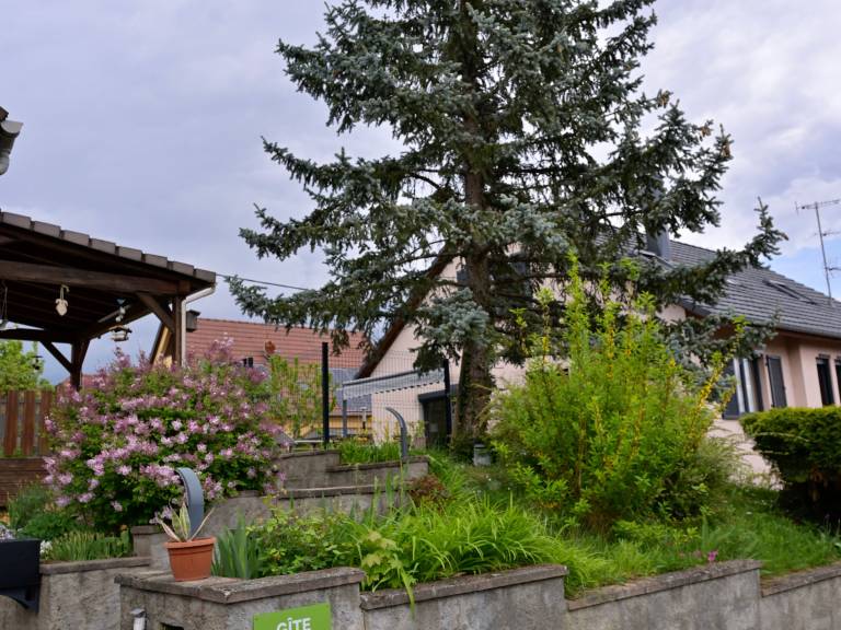 foto34