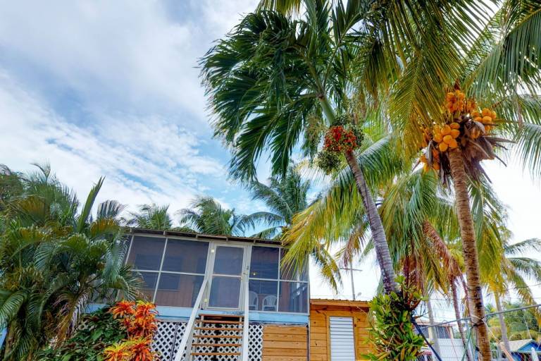 Cabin  Placencia