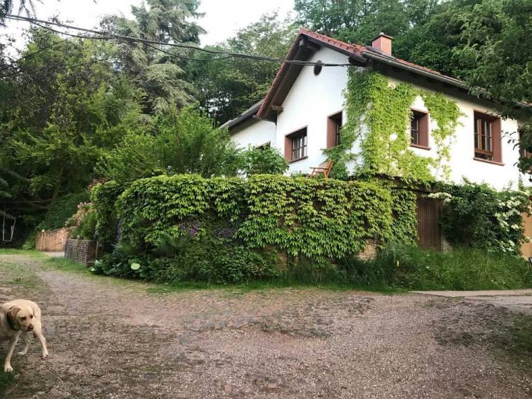 Ferienwohnung  Merzig