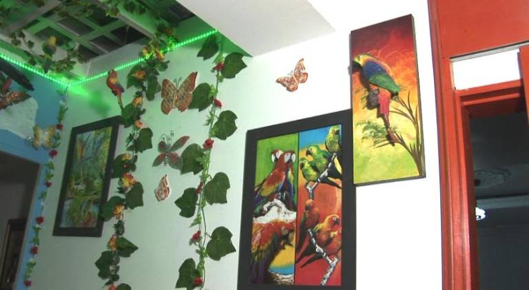 foto12