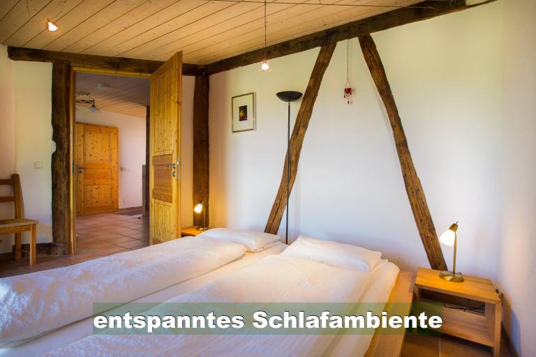 foto44