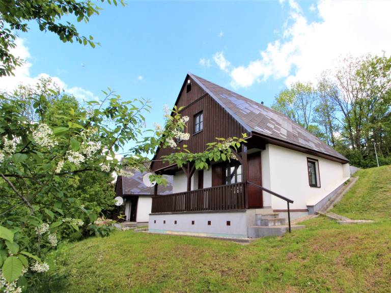 foto19