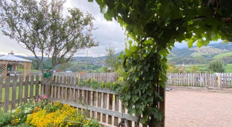 Beautiful holiday apartment | Pets allowed in Cavalese