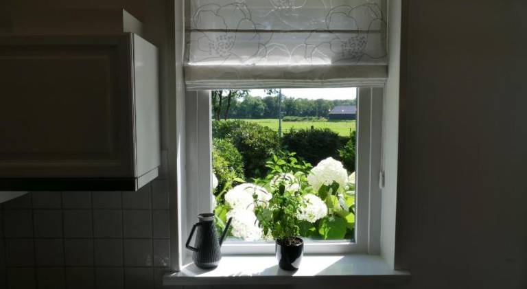 foto35