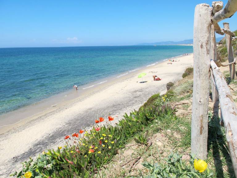 foto41
