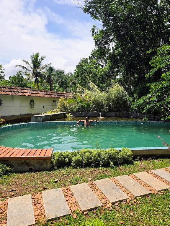 Nellu -Tranquil Pool Villa & Organic Farmstay — photo 5