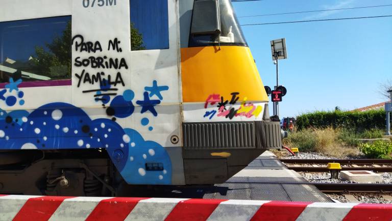 foto19