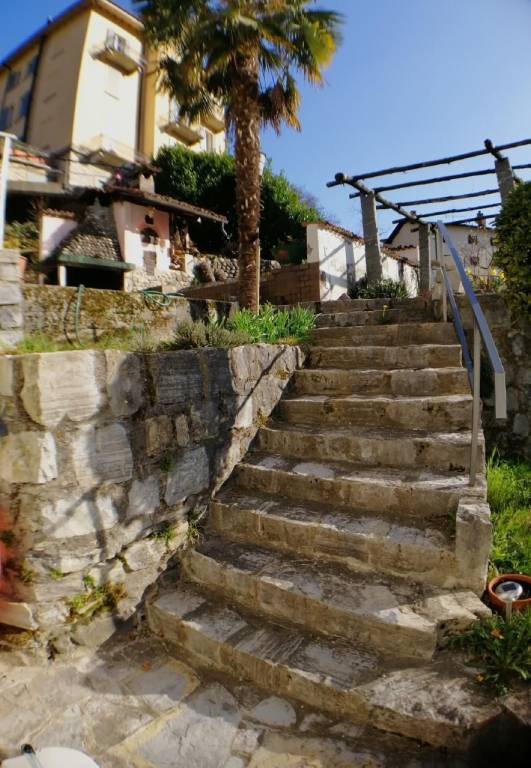 foto42