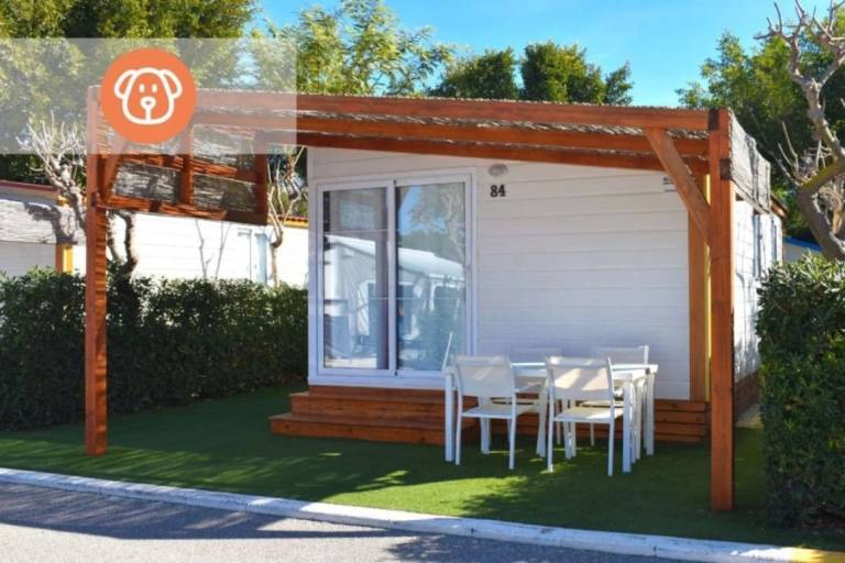 Camping suite with heated pool, jacuzzi & sauna — photo 3